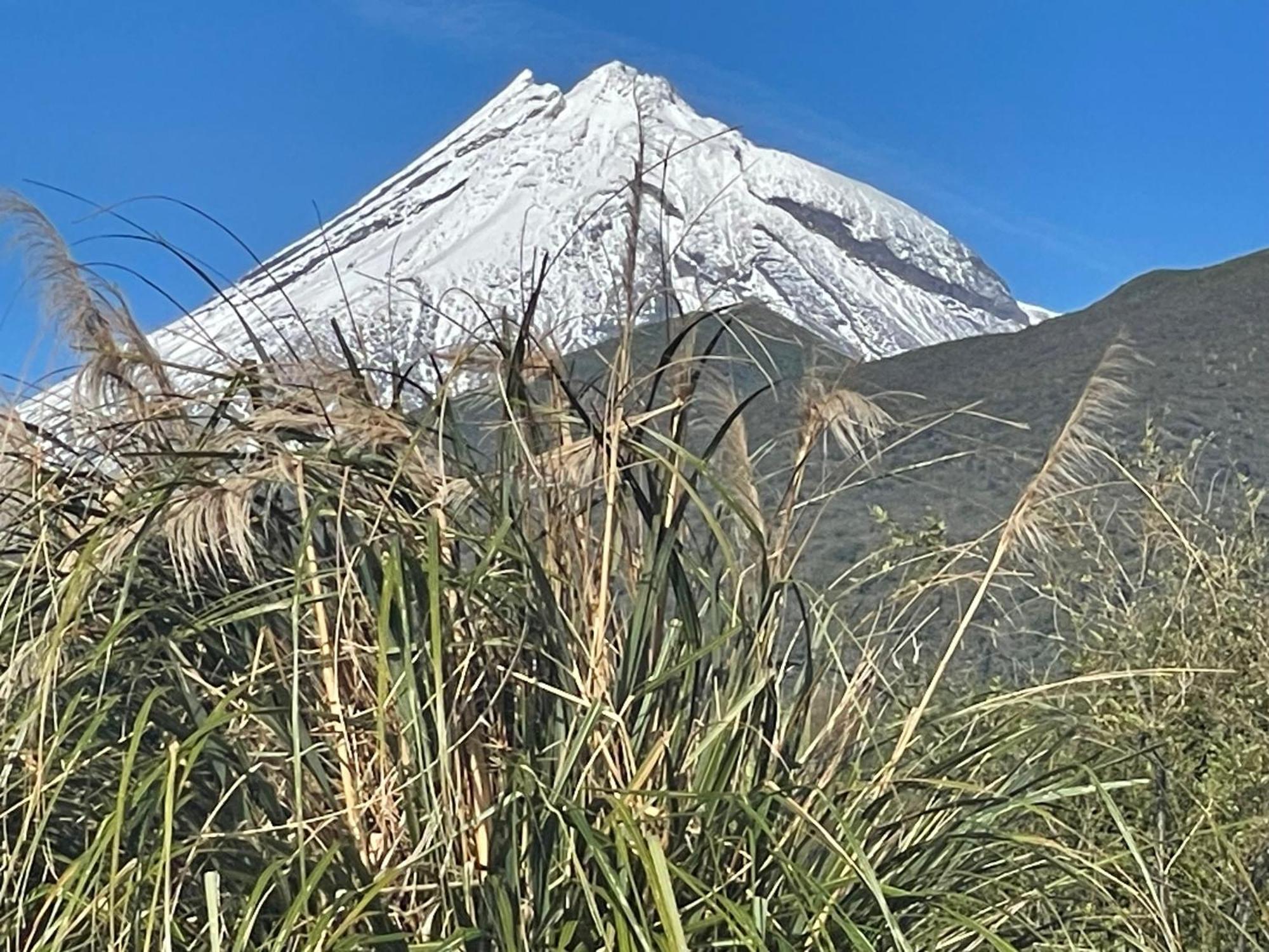 Mangorei Heights - New Plymouth Bed & Breakfast Екстериор снимка